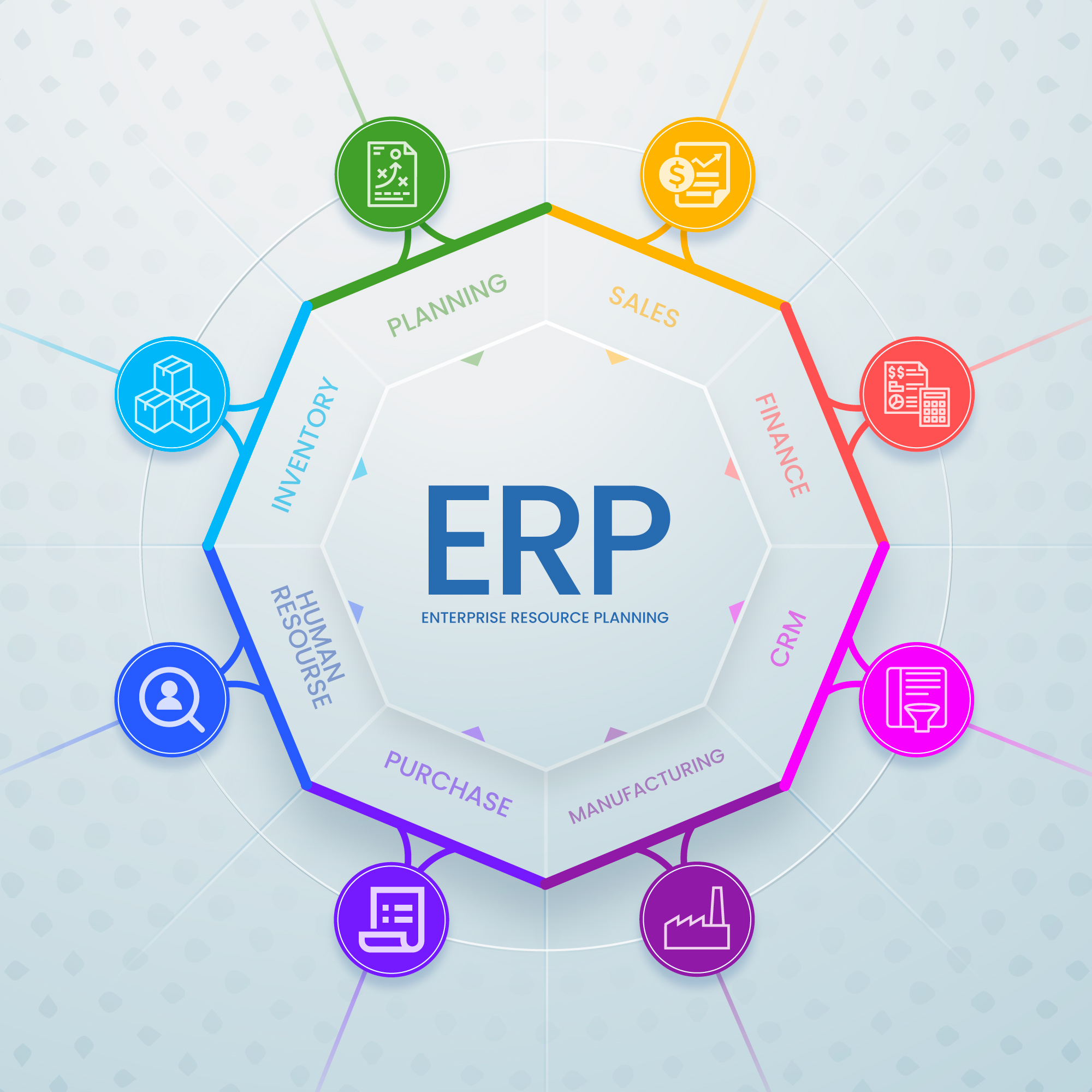ERP & Business Solutions
